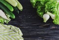 Green salad, cucumbers, zucchini, squash, and onion Royalty Free Stock Photo