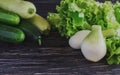 Green salad, cucumbers, zucchini, squash, and onion Royalty Free Stock Photo