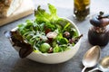 Green salad with Goj iberry and Pecan Royalty Free Stock Photo