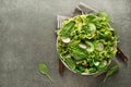 Green Salad healthy meal Royalty Free Stock Photo