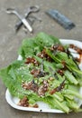 Green salad with japonic sause Royalty Free Stock Photo