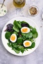 Green salad with leaves and egg