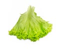 Green salad leaves. Salad isolated on white background. Lettuce leaves for making a hamburger