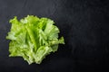 Green salad lettuce leaves, on black background with copy space for text Royalty Free Stock Photo
