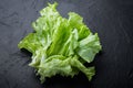 Green salad lettuce leaves, on black background Royalty Free Stock Photo