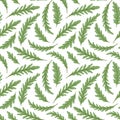 Green salad repeated background. Seamless pattern with fresh green leaves of ruccola. Vector illustration.