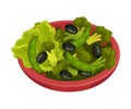 Green Salad Served in Deep Bowl with Greenery and Olives Vector Illustration