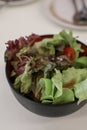 Green salad with tomatoes with japanese white sesame dressing.