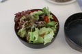 Green salad with tomatoes with japanese white sesame dressing.