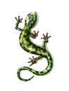 Green Salamander Watercolor Nature Lizard Illustration Hand Painted