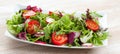 Green salat in a bowl on desk. Tomato, cheese and salad. Royalty Free Stock Photo