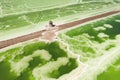 The green saline lake and beach pavilion, natural lake background