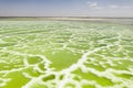 The green saline lake, natural lake background