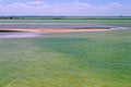 Green Salt Pool in Rio Lagartos