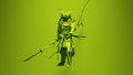 Green Samurai Post-Punk Warrior with Green Background