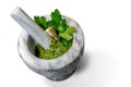 Green sauce in marble mortar and pestle Royalty Free Stock Photo