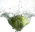 Green savoy cabbage Royalty Free Stock Photo
