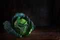 Green savoy cabbage, a healthy winter vegetable, whole head on dark and moody rustic wood with copy space