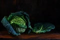 Green savoy cabbage, whole head and a leaf on dark and moody rustic wood with copy space Royalty Free Stock Photo