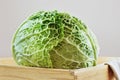 Green savoy cabbage ,winter vegetable Royalty Free Stock Photo