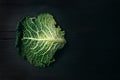 Green savoy cabbage on wood table