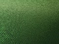 Green Scales or squama glossy texture or background