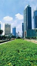 green scenery in a city with tall buildings and a blue sky, the city of Jakarta is very bright