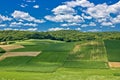Green scenery landscape in spring time IV Royalty Free Stock Photo