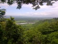 Green scenery, plantation, Selok hill