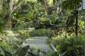 Green scenery of Singapore Botanic Garden Royalty Free Stock Photo