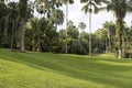 Green scenery of Singapore Botanic Garden Royalty Free Stock Photo