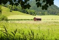 Green Scenic Landscape with Meadow, Lawn, Plants and small Wooden House