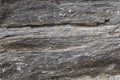 Green schists with faults, Paleozoic age from the Alps