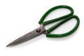 Green scissors isolated on a white background