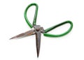 Green scissors isolated on a white background