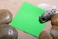 Green scratch paper on sand Royalty Free Stock Photo