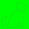 Green Screen Animal Shapes Outlines Layers