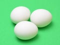 Green screen chicken eggs