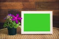 Green screen frame Royalty Free Stock Photo