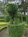 Green sculpture bushes garden outdoor