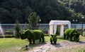 Green sculpture of rhinos in Krasnaya Polyana in Sochi in summer