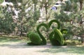 Green sculpture of swans in Krasnaya Polyana in Sochi