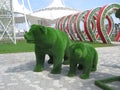 Green sculptures-bear with a small bear. Topiary-green art. Bear with a small bear in the Central Park of Grozny.