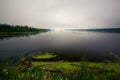 Green scum on pond