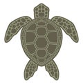 Green Sea Turtle Royalty Free Stock Photo