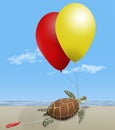 A green sea turtle on a beach by the ocean is seen tangled in helium party balloons
