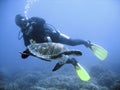 Green sea turtle and diver Royalty Free Stock Photo