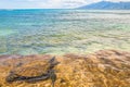 Green Sea Turtle in Ocean - Maui, Hawaii Royalty Free Stock Photo