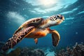 Green sea turtle swimming in the ocean. Underwater world. 3d rendering, Green sea turtle swimming in turquoise sea water, captured