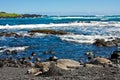 Green Sea Turtles on Black Sand Beach Royalty Free Stock Photo